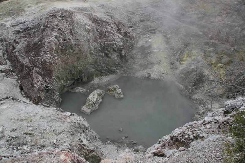 Nieuw-Zeeland 2011 - 0789